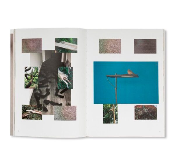 【美品】Wolfgang Tillmans 作品集 Wolfgang Tillmans (Phaidon Contemporary Artists Series): Jan